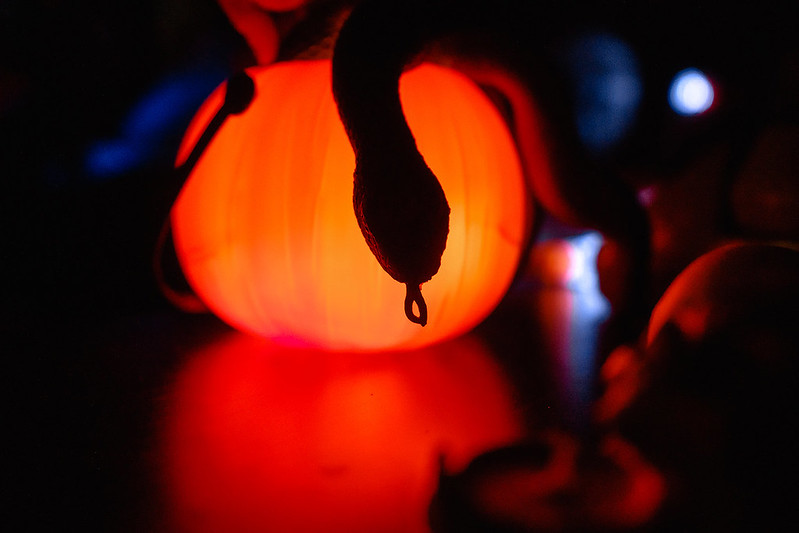 Украшение дома паутиной и летучими мышами к Хэллоуину в Severodvinsk